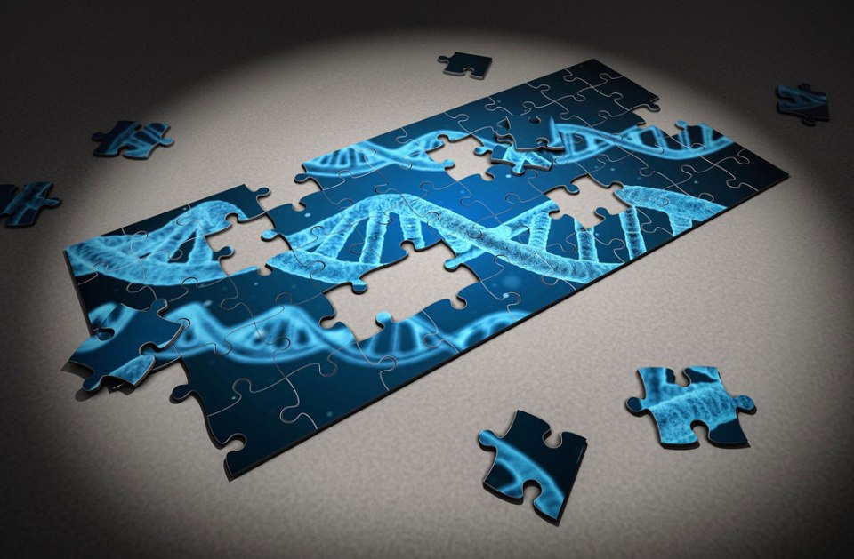 Solving a DNA Puzzle